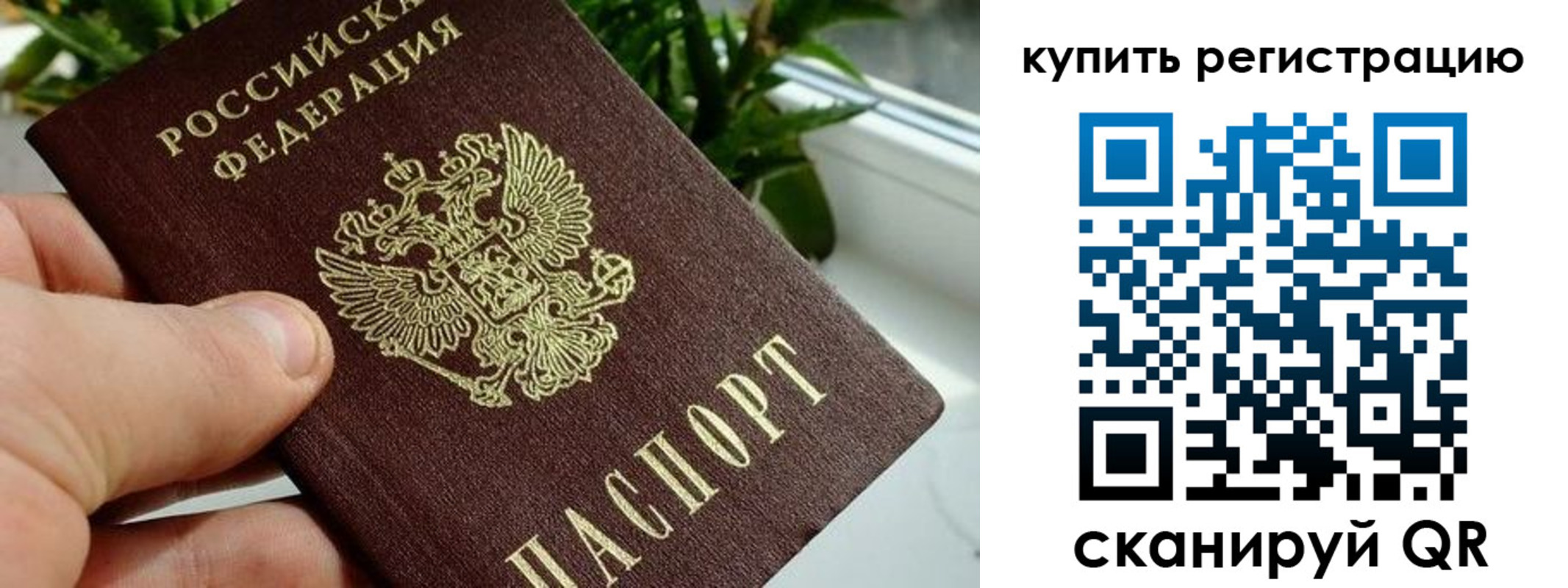 прописка гарантия в Заволжске